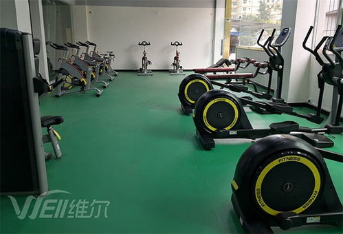 成都体育用品厂服务至上,重庆维尔健身器材公司