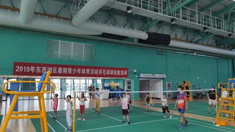 武汉市东西湖区青少年暑期可免费参加8项体育技能培训